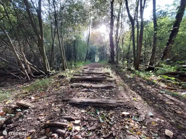 Loop vanuit het huisje zo de natuur in.